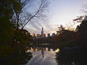 City Skyline at Twilight in Autumn