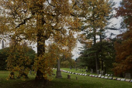 Fall foliage at Green-Wood Cemetery, 31 October 2022
