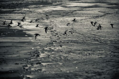 Margate NJ, January 2024